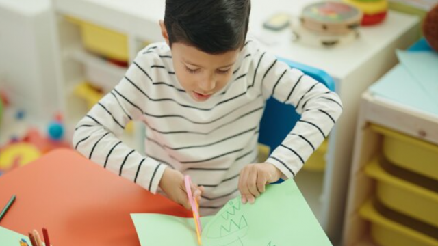 Pacific Speech Therapy And Learning Centre (Alor Setar)